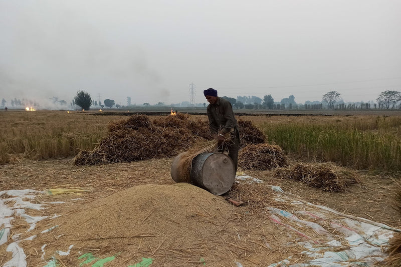 Organic agriculture critical for generating indigenous, clean fuel