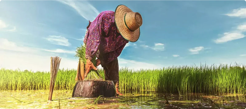 Punjab gets Rs 2,600-cr investment proposals