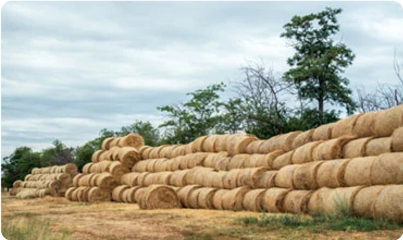 Sampurn Agri sets up biogas plant using paddy straw