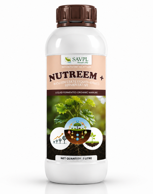 Nutreem Plus+